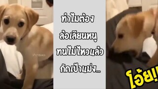 รวมคลิปตลกๆ : ชอบบูลลี่ดีนักก็ต้องเจอนี่!!??