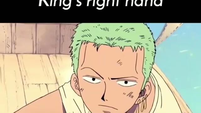 THE RIGHT HAND OF THE KING Roronoa Zoro