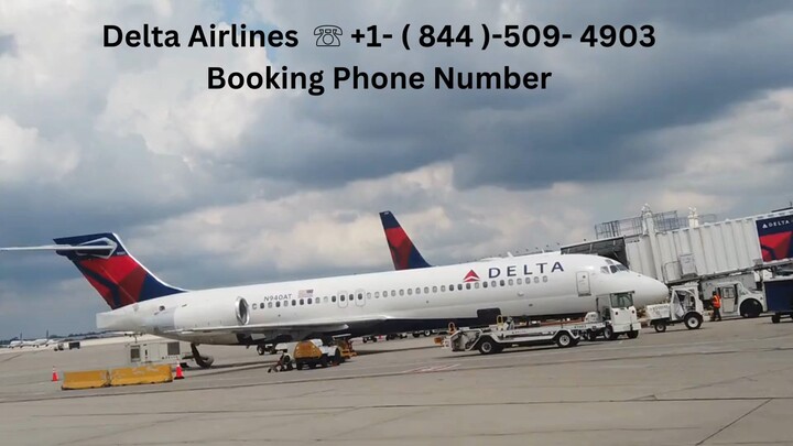 ꀾ☎ꀾ +1- ( 844 ) -509- 4903 ꀾ☎ꀾ ꧁⭑⭒DELTA RESERVATION 𝔹𝕆𝕆𝕂𝕀ℕ𝔾 ℙℍ𝕆ℕ𝔼 NUMBER⭑⭒꧂