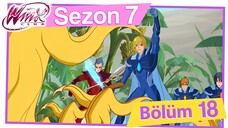 Winx Club - Sezon 7 Bölüm 18 - Muz Günü