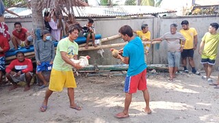 bantayan sabong