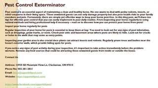 Pest Control Exterminator