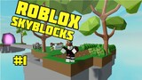 STARTING A NEW ISLAND - SKYBLOCKS ROBLOX #1