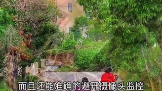 "Bunga Bakung Lembah Hancur dalam Sekejap" Tak seorang pun peduli terhadap bunga bakung lembah selam