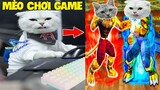 Thú Cưng Vlog | Mèo Và Mun Siêu Quậy #9 | Mèo thông minh vui nhộn   Smart cat funny pets