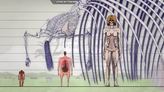 Attack on Titan all character Size Comparison part 12 #attackontitan