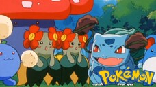 Pokémon Tập 227: Tạm Biệt Fushigidane! Cuộc Phiêu Lưu Ở Phòng Thí Nghiệm Tiến Sĩ Okido!!(Lồng Tiếng)