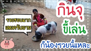 ขอให้กินอิ่ม ขอให้ได้วิ่งเล่นแค่นี้ชีวิตน้องรวยก็มีความสุขแล้วจ้าทุกคน🐖🥰😂🤣🤗