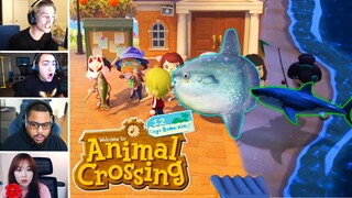 Streamers Catch Rarest Fish in Animal Crossing: New Horizons (Funny Moments)