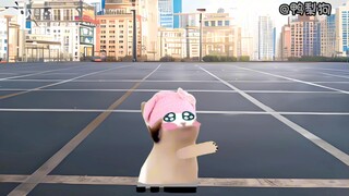 娶媳妇的套路