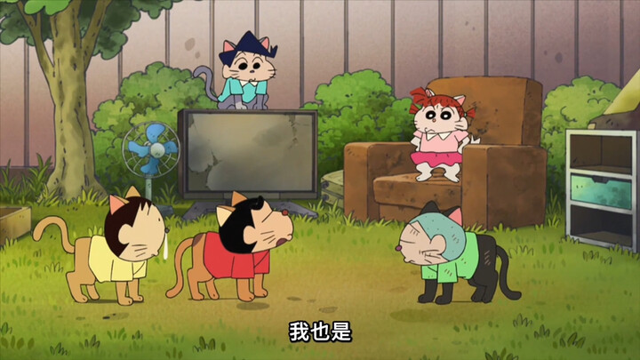 【蜡笔小新特别篇】大家都变成猫咪了哦🐈