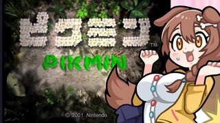 【ド☆初見】はじめてのピクミン【GC】