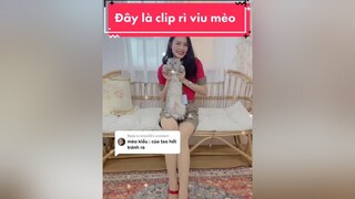 Reply to  rì viu hoàng thượng cho mấy bạn nè hehe 🥰🥰 yeu meo nghien mèo Love cat