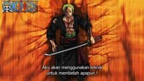 GILIRAN ZORO ! TEKNIK BARU ZORO DIPERLIHATKAN ! KEKUATAN MENEBAS APAPUN