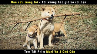 [Review Phim] Xem Bao Lần Vẫn Như Lần Đầu Nghẹn Họng Khóc Đỏ Mắt | Netflix