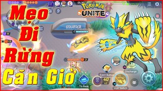 Pokémon UNITE: Mẹo Đi Rừng Tính Giờ Quái Xuất Hiện Cho Người Mới Chơi, Làm Trùm Pokemon