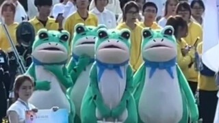 I saw a cute frog in the street dance area