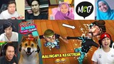 Reaksi Kocak Gamer Ngeprank Maling Kesetrum, AUTO GOSONG!!! 😂 | Scary Robber Home Clash Indonesia