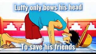 Luffy only bows his head for his friends | One piece compilation