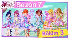 Winx Club - Sezon 7 Bölüm 3 - Butterflix