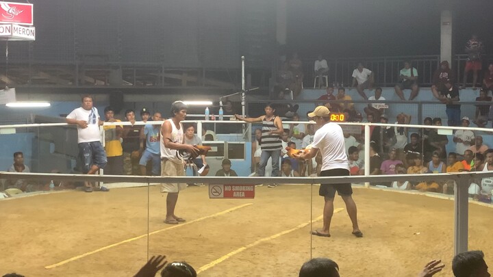 BSM CUP 4stag FINALS @Mabini, Bohol. 4th fight win. #cawayanan/sjr gamebirds