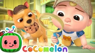 YouTube CoComelon | Who Took the Cookie? Puppy Song! | Views+20