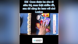 hangy monkey dog cute animals cute cliphai cliphay giadinh friend eat  Khỉ Coco đi siêu thị cùng Papa sau đó ăn kem với các bạn