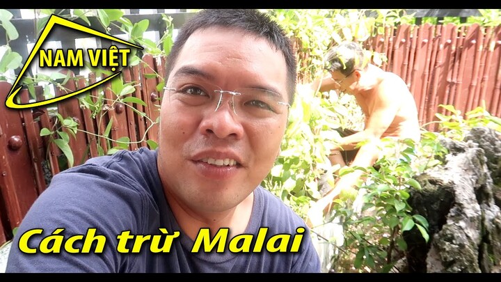 Yêu miền tây - Yêu luôn con ma cậu 7 kể - Nam Việt 1166