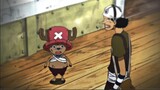 "Chopper didn't protect Merry well and thought Usopp would reprimand him..."