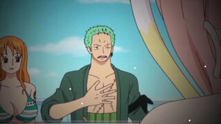 Khái niệm về anh hùng của Zoro=))