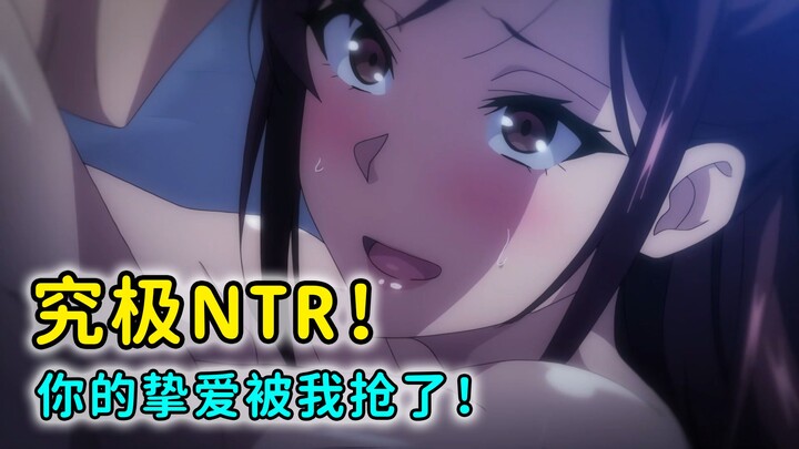 NTR界的断肠药！让我们猎杀那些处在光明的纯爱党！