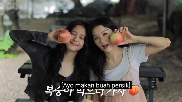 seulgi dan jisoo  [Liburan musim panas dengan JisooBlackpink💕 Hari tanpa rencana vlog ] Sub indo