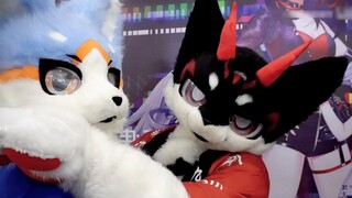 FursuitDance】Phut Hon! ! ! Orc dan serigala melompat dengan liar~ Ayo berputar bersama! Xiaojie X Yu