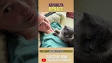 Celebrities who are certified cat lovers | Kapamilya Shorts