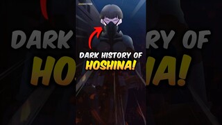 The Dark History Of The HOSHINA Family!