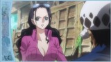 Law told Robin about his Real Name | Robin was Surprised about the D in his Name | One Piece