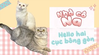 Nhà cô Na - #1 - Đón hai cục bông gòn đến thế giới của nhà cô Na