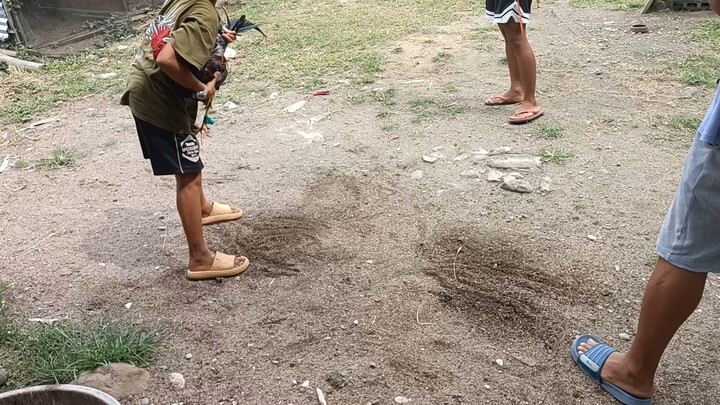 Lemon vs. Melsim Grey Sparring #butchokwarriors