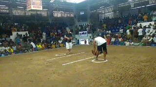 first fight win