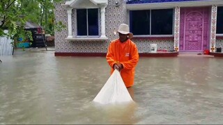 বন্যায়_বাড়ির_উঠানে_সেরা_মাছ_ধরার_ভিডিও_২০২৪___Fishing_at_home_in_flood