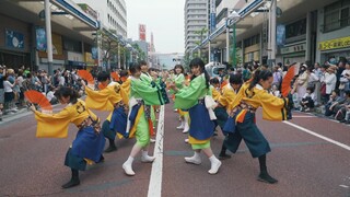 Waseda University Tokyo Hanabi | Shonan Yosakoi Festival