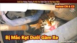 Giải Cứu Chú Mèo Dễ Thương Bị Kẹt Dưới Gầm Xe Cực Nguy Hiểm || Review Con Người Và Cuộc Sống