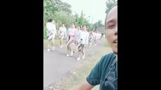 Video Lucu Bikin Ngakak Banget Deh 🤣🤣🤣🤣