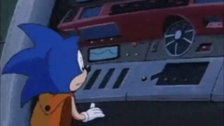 Sonic The Hedgehog Liberations-Sonic Fried The Computer