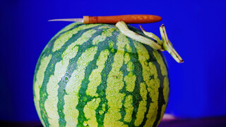 Carve a portrait of Geng Shuang on a watermelon!