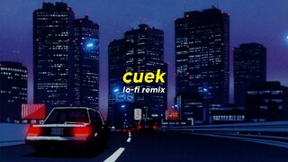 Rizky Febian  - Cuek (Lo-Fi remix)