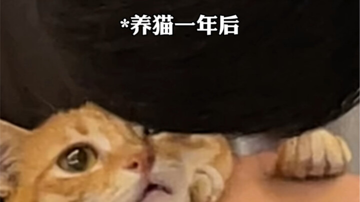 养猫人的两幅面孔