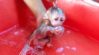 Always Keep Hygiene!! Cleans up the diaper & take a bath for tiny adorable Luca