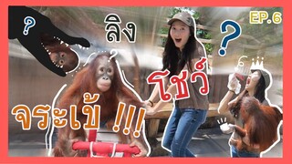 พาเจนนี่ทักทายเพื่อนและฝึกเป็นนักแสดงโชว์จระเข้ EP.6 PART 1/2