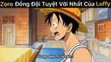 Zoro đồng đội tuyệt vời nhất của Lù